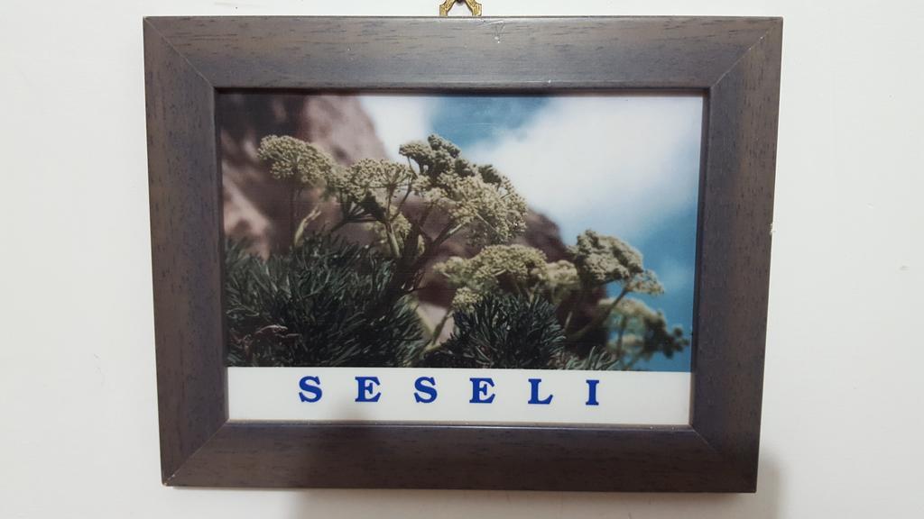Isoladelmiele Hotel Marettimo Kültér fotó